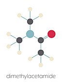 Dimethylacetamide chemical solvent molecule