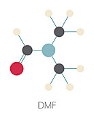 Dimethylformamide chemical solvent molecule