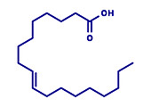 Elaidic acid molecule