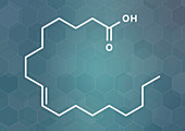 Elaidic acid molecule