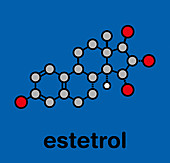 Estetrol natural estrogen hormone molecule