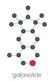 Galaxolide synthetic musk molecule