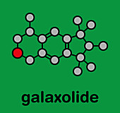 Galaxolide synthetic musk molecule