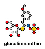 Glucolimnanthin herbal molecule