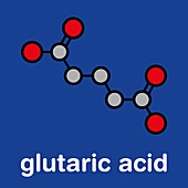 Glutaric acid molecule