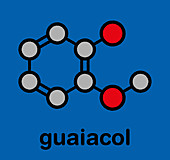 Guaiacol aromatic molecule