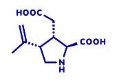 Kainic acid molecule