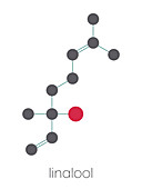 Linalool scent molecule