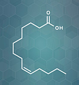 Myristoleic acid molecule