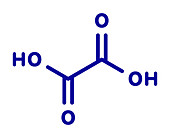 Oxalic acid molecule