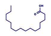 Palmitic acid saturated fatty acid molecule