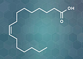 Palmitoleic acid omega-7 fatty acid molecule