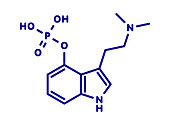 Psilocybin psychedelic mushroom molecule