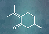 Pulegone molecule