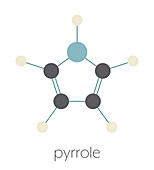 Pyrrole heterocyclic organic molecule