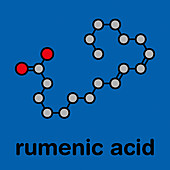 Rumenic acid fatty acid molecule