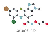 Selumetinib cancer drug molecule