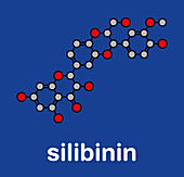 Silibinin milk thistle molecule