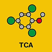 Trichloroanisole cork taint molecule