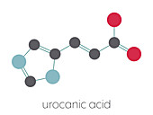 Urocanic acid molecule