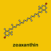 Zeaxanthin yellow pigment molecule