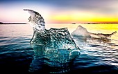 Sculpted ice floes at sunrise