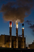 Dearborn Industrial Generation facility, Michigan, USA