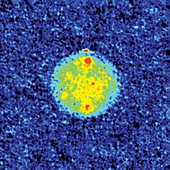 Radar image of Mercury, 1991