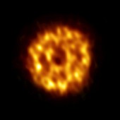 Dust disc around HD 107146, ALMA image