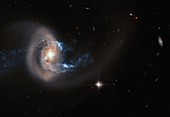 NGC 7714 spiral galaxy, Hubble image