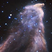 IC 63 Ghost Nebula, Hubble image