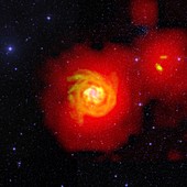 Spiral galaxy NGC 6946, composite radio-optical image