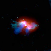 Radio galaxy 3C 305, composite image