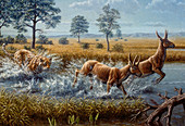 Prehistoric big cat chasing deer, illustration