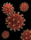 Rotavirus particles, illustration