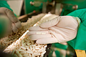 Pharmaceutical drug production