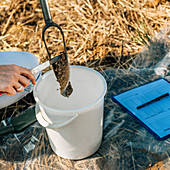 Soil scientist collecting sample from soil probe