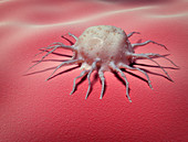 Cancer cell, conceptual illustration