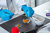 Food safety laboratory