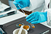 Food safety laboratory