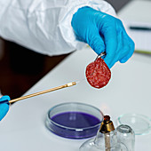 Food safety laboratory