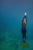 Free diver underwater