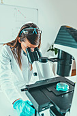 Young scientist working in her lab