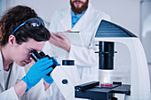 Scientist using microscope