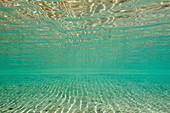 Shallow water background