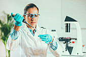 Scientist pipetting sample