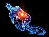 Cyclist with back pain, illustration