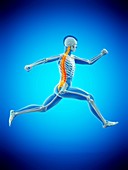 Runner with back pain, conceptual illustration