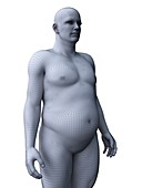 Obese man, illustration