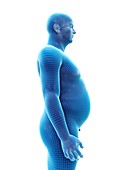 Obese man, illustration